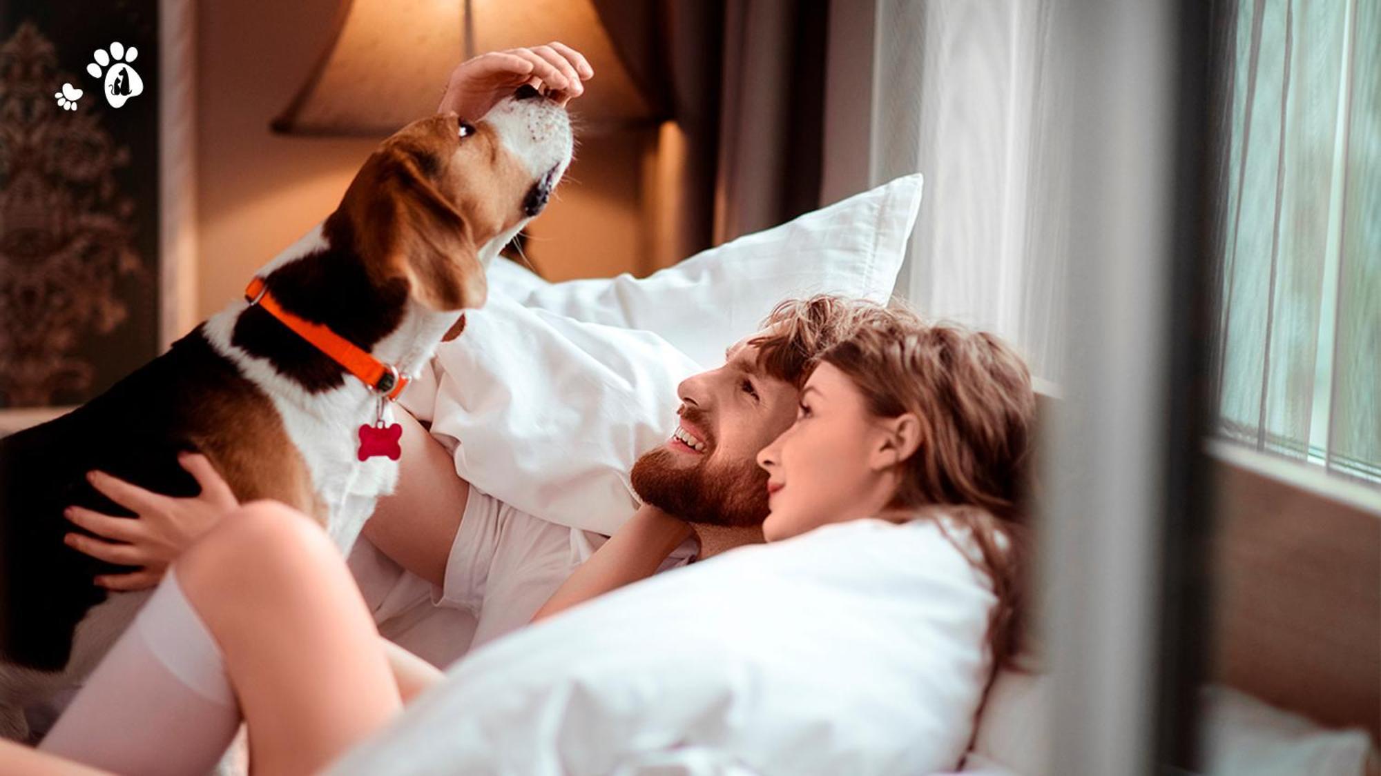 Holiday Inn & Suites - Aguascalientes By Ihg Εξωτερικό φωτογραφία